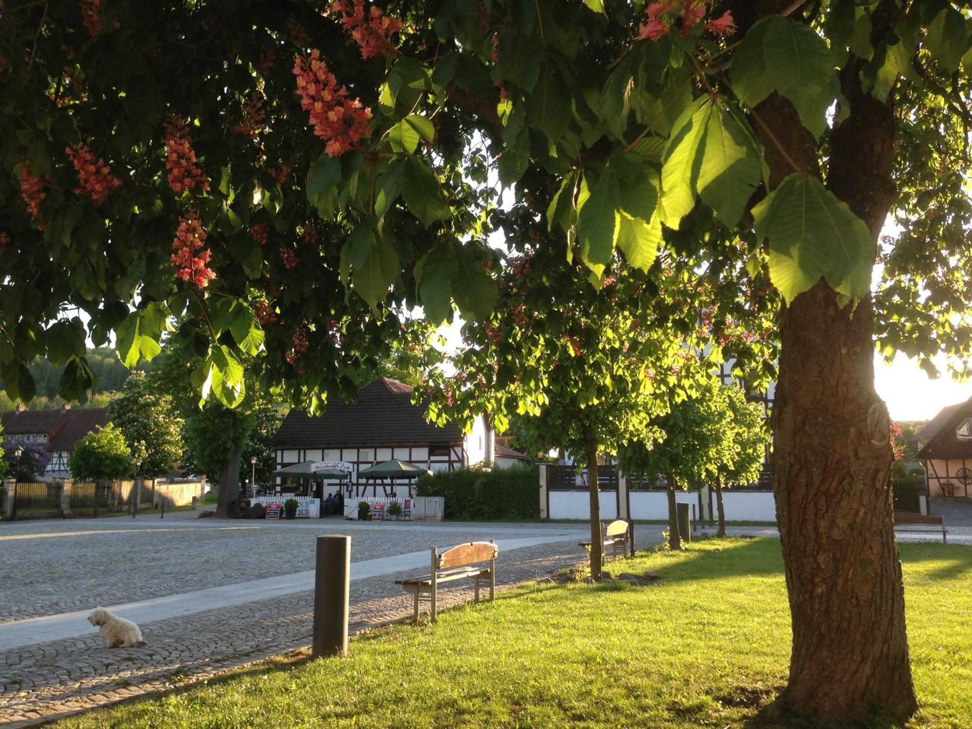Klosterhotel Walkenried المظهر الخارجي الصورة